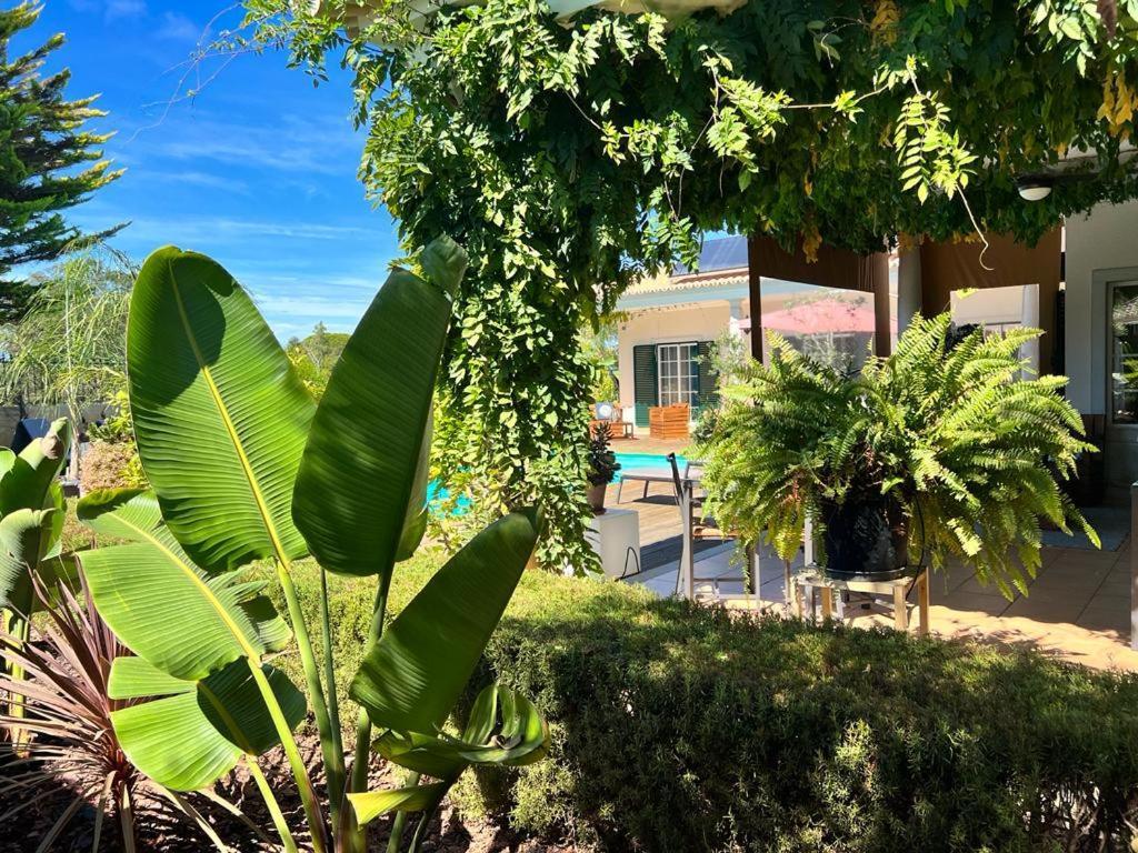 Buganvilias Do Meco Guest House Сесимбра Экстерьер фото